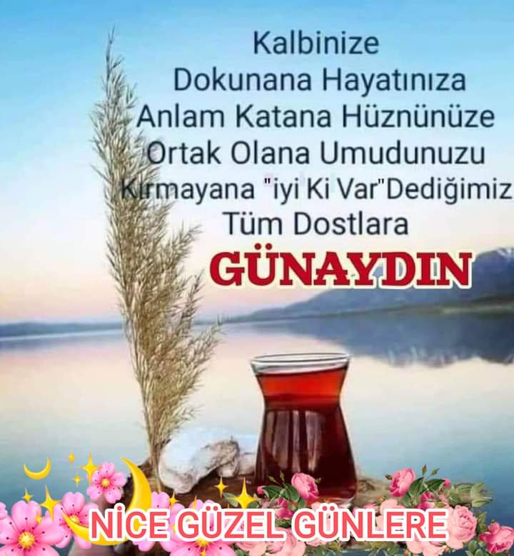 gunerakin1's tweet photo. https://t.co/Zu2uT4NVoQ