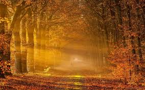 hgts_heidi's tweet photo. #goodmorning #newday #goodstart #goodstarttotheday #goodvibes #positivevibes #autumn
#goedemorgen #nieuwedag #goedestart #frissestart #positieveenergie #fijnedag #herfst https://t.co/Ut4nKF33dG
