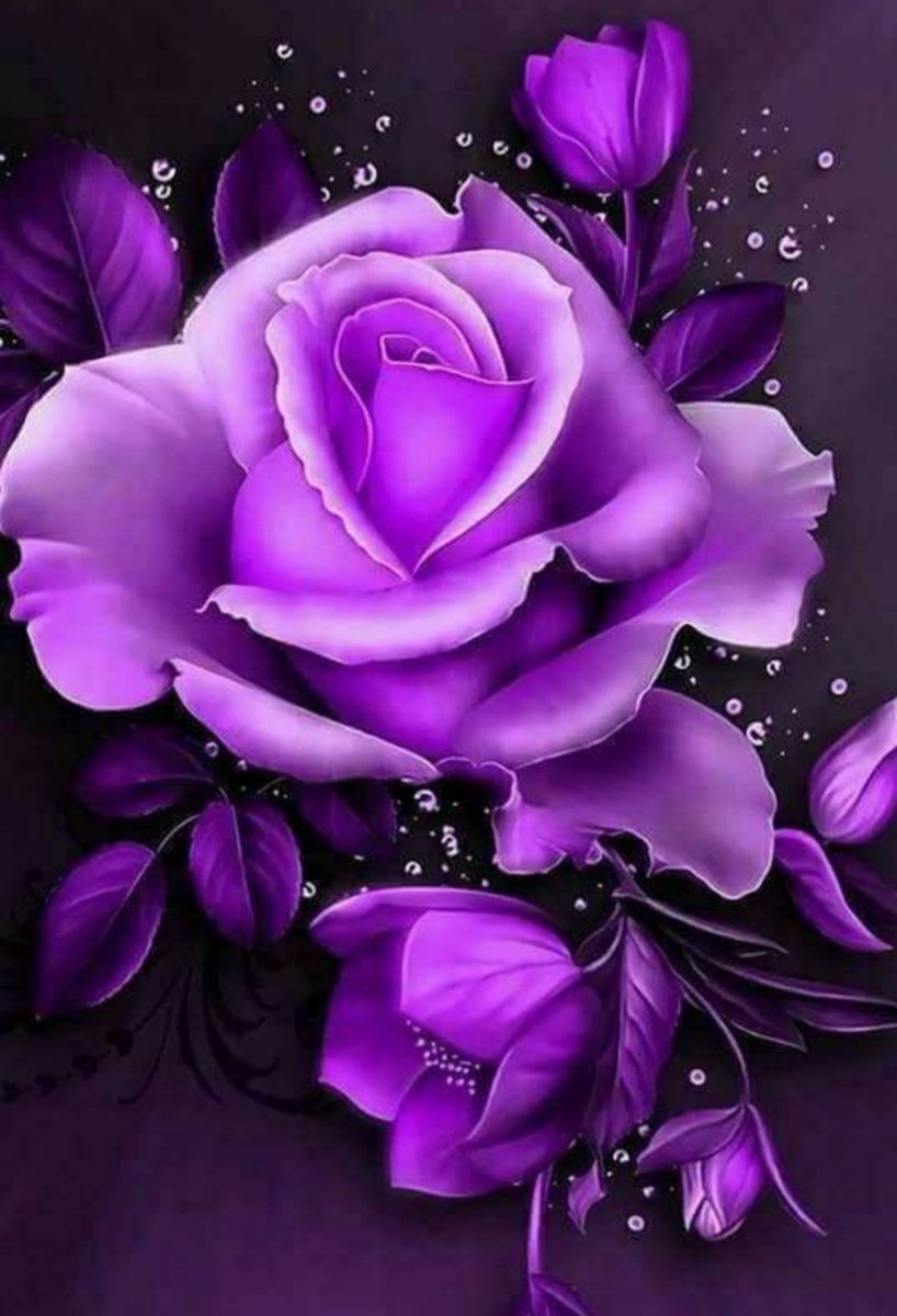 Ybbilge1's tweet photo. @bestforeign_ Gunaydinlar guzel bir gun geçirmeniz dileği ile sevgiler ⚘⚘🌹🌷💕😘 https://t.co/8Ggt6pzl53