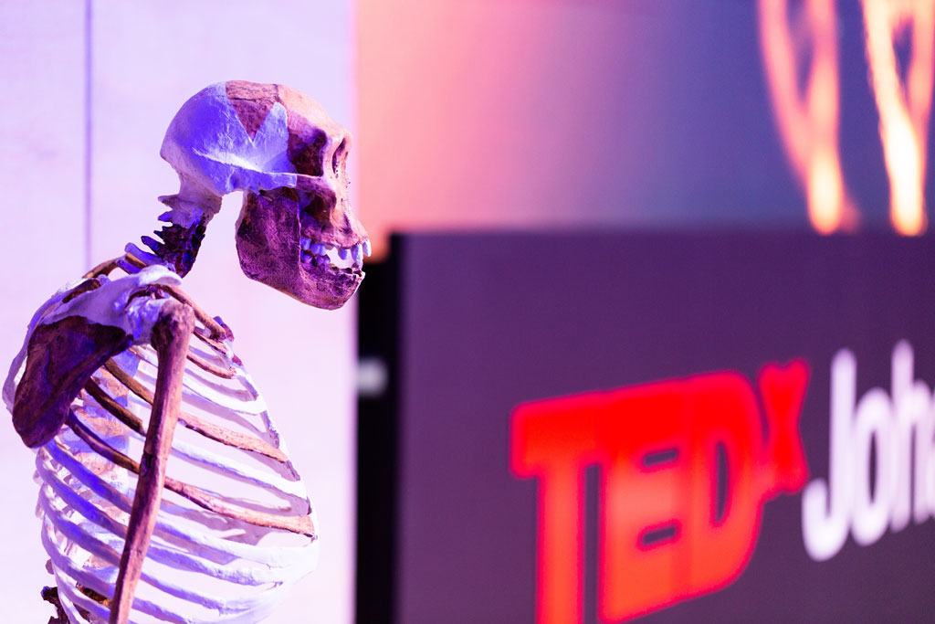 TEDxJohannesburg tweet media