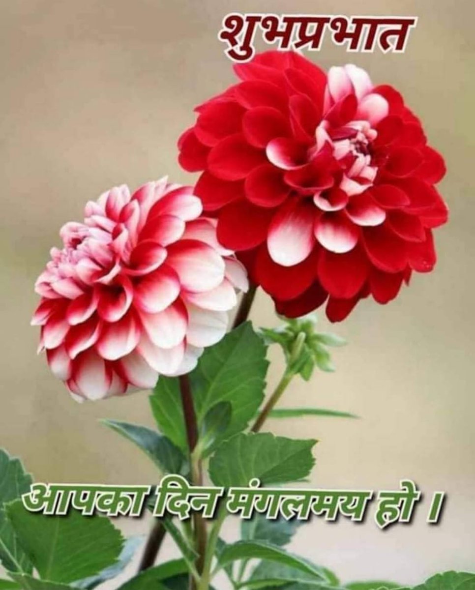 Ansh (@ansh662990362) on Twitter photo 