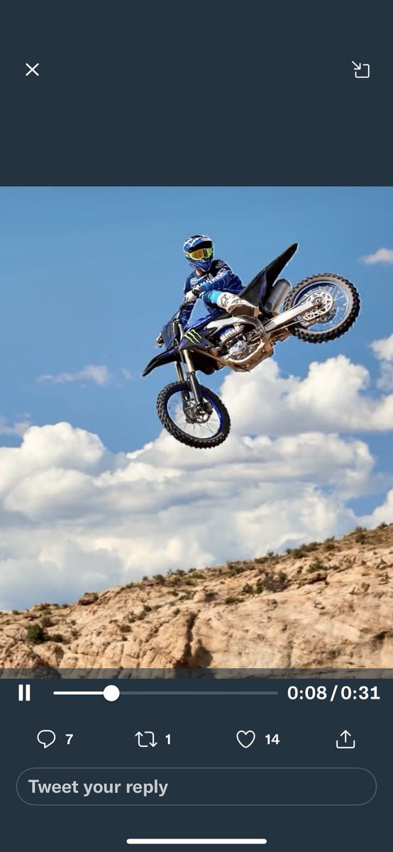 Grant Bunting tweet media