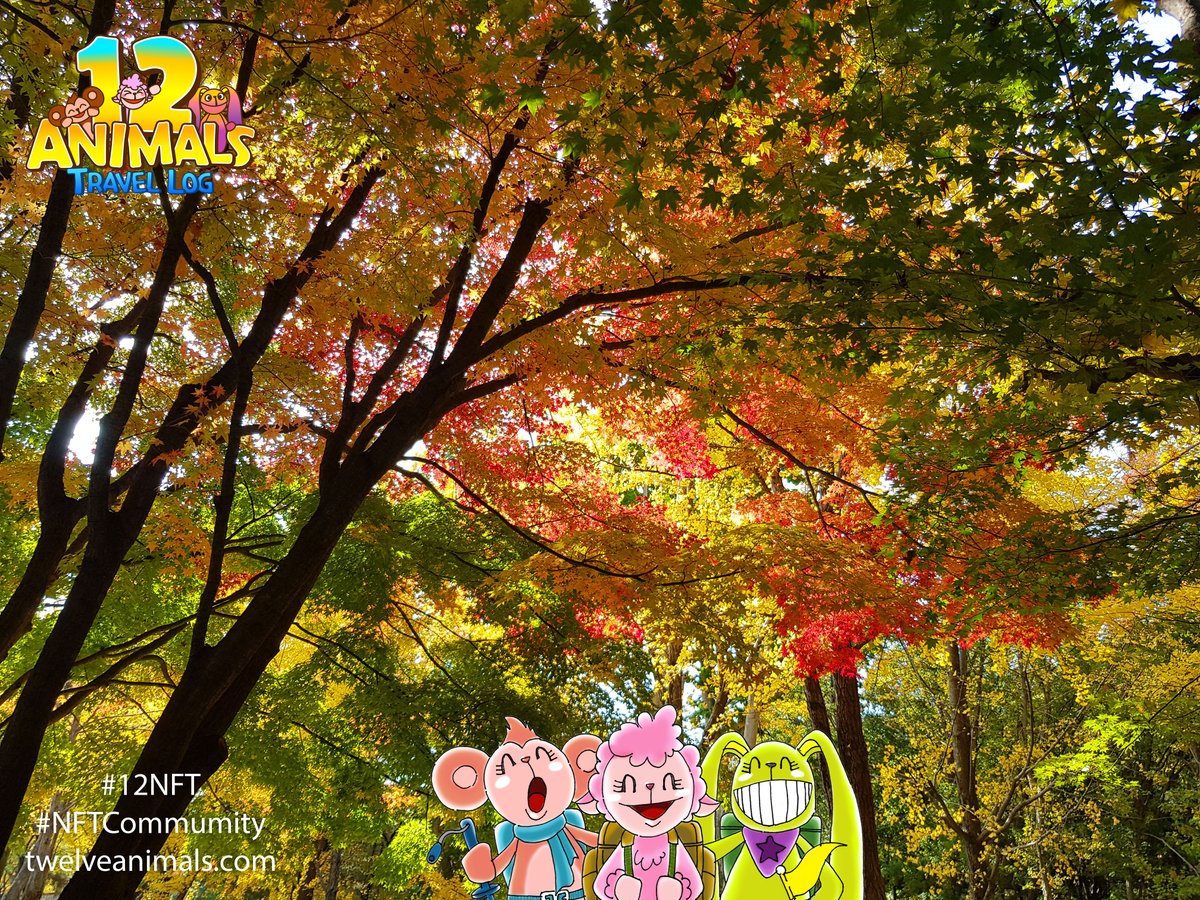 12 Animals Travel Log tweet media