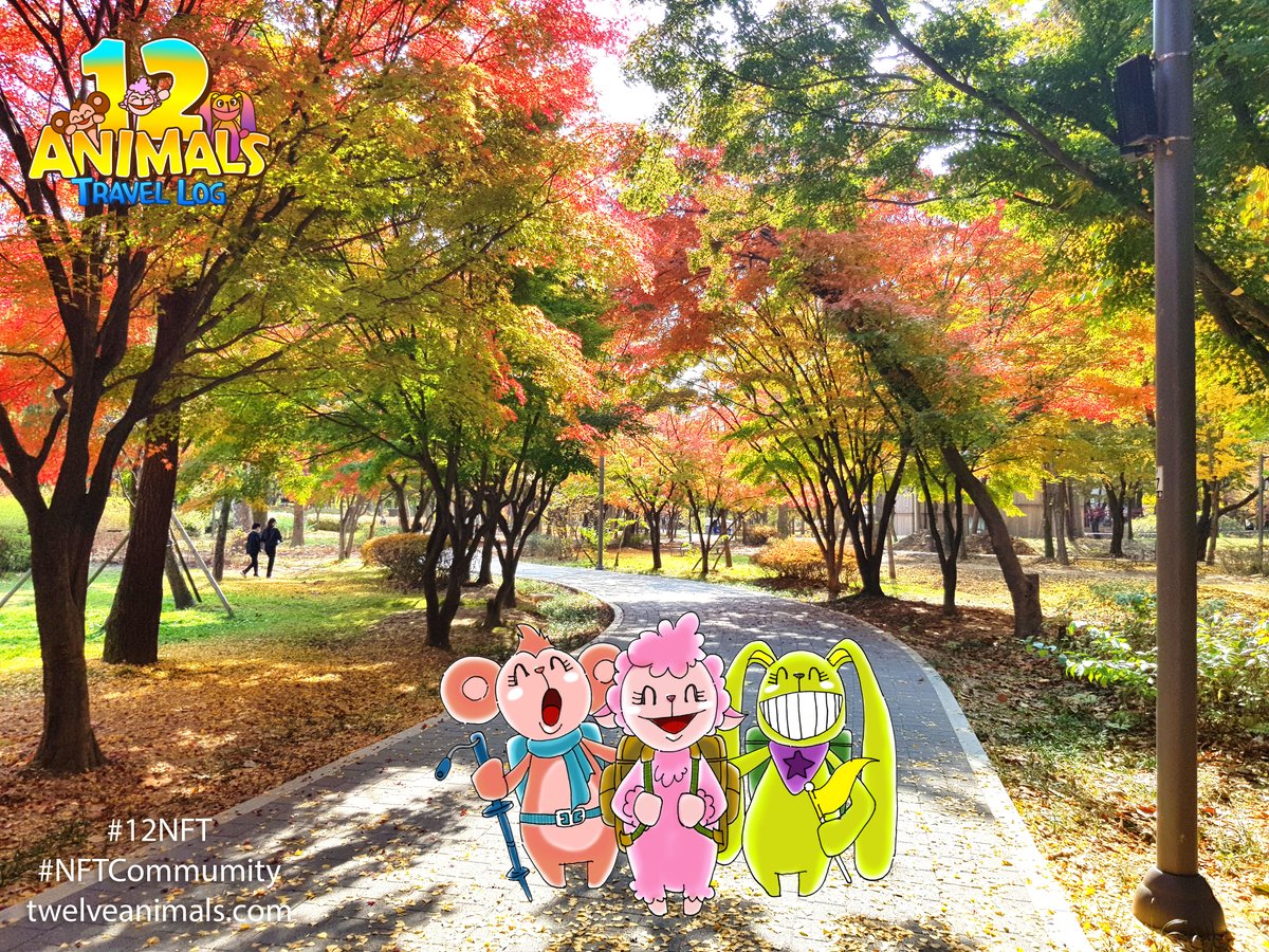 12 Animals Travel Log tweet media