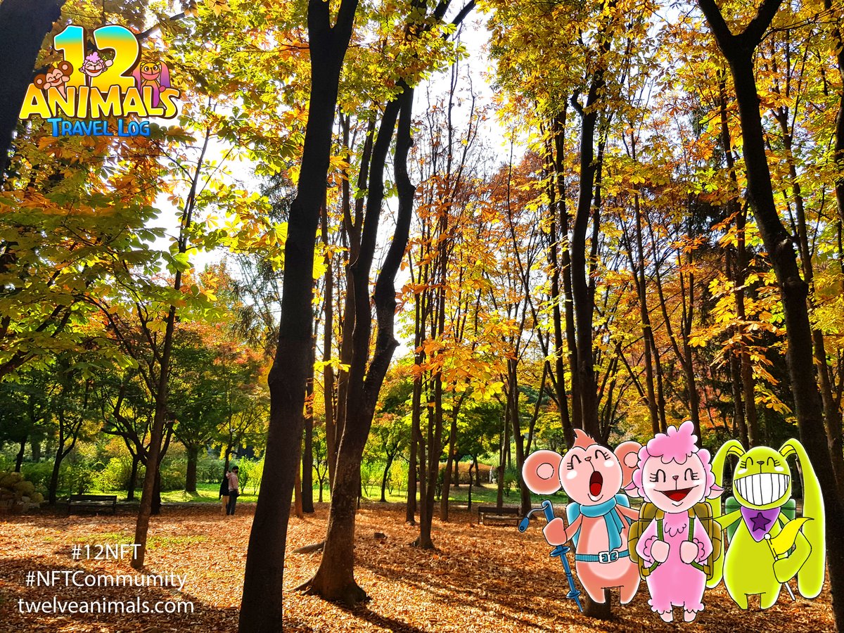 12 Animals Travel Log tweet media