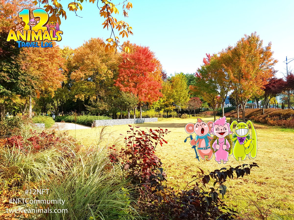 12 Animals Travel Log tweet media