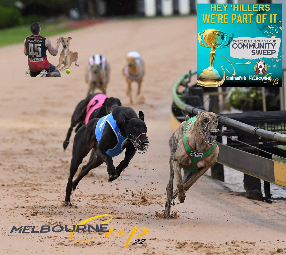 🏆 Our Captain Sam Parks is a great footballer, but he should leave the <a href="/sandowndogs/">Sandown Greyhounds</a> training to the experts for the #SandownPark Melbourne Cup on Nov. 26. Soon we'll know our dog in the #CommumitySweep
Go you good thing!