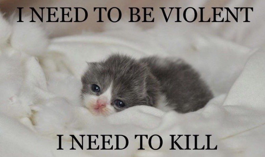 cigaretta tweet media