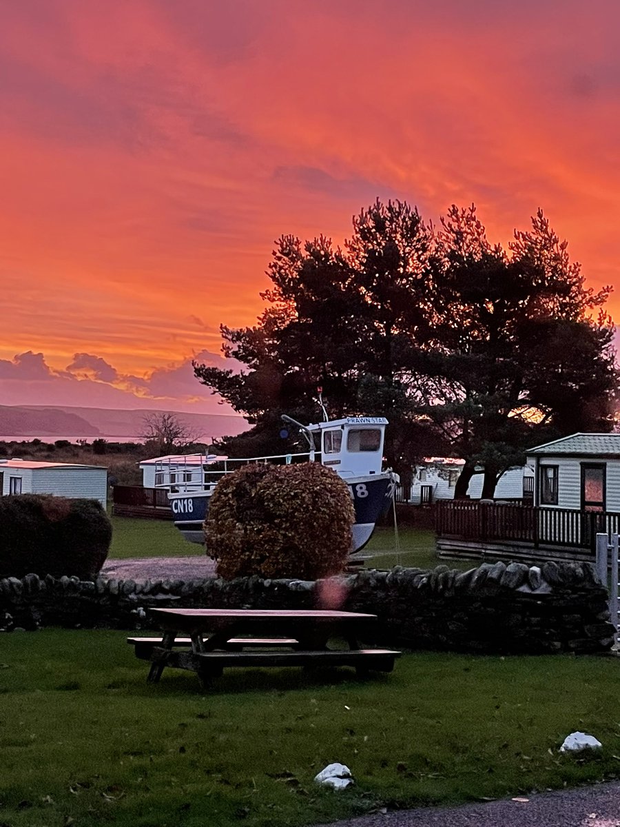 Good morning from Carry Farm where we are bathing in the red skies of a very promising morning.