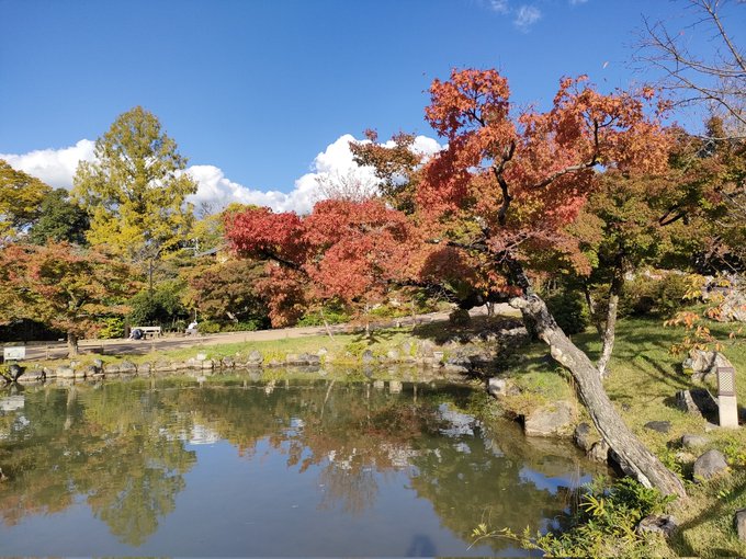 祇園だんだん色づいてきた〜🍁
赤黃緑のグラデーションがキレイ 