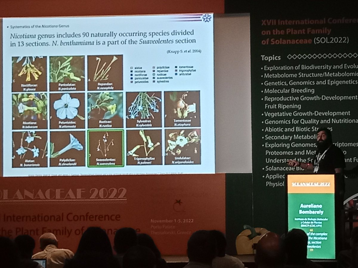 GenoBreed (@geno_breed) on Twitter photo Nice talk about the origin of  Nicotiana genus, sec. Suaveolentes by <a href="/aubombarely/">Aureliano Bombarely</a> in the #Sol2022 <a href="/IBMCP/">IBMCP - Instituto de Biología Molecular y Celular</a> <a href="/HARNESSTOM_EU/">HARNESSTOM</a> <a href="/CSIC/">CSIC</a> Nice talk about the origin of  Nicotiana genus, sec. Suaveolentes by <a href="/aubombarely/">Aureliano Bombarely</a> in the #Sol2022 <a href="/IBMCP/">IBMCP - Instituto de Biología Molecular y Celular</a> <a href="/HARNESSTOM_EU/">HARNESSTOM</a> <a href="/CSIC/">CSIC</a>