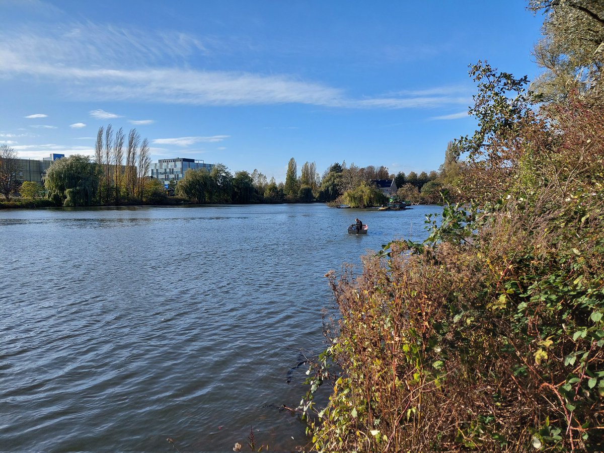 ecoloog079 tweet media