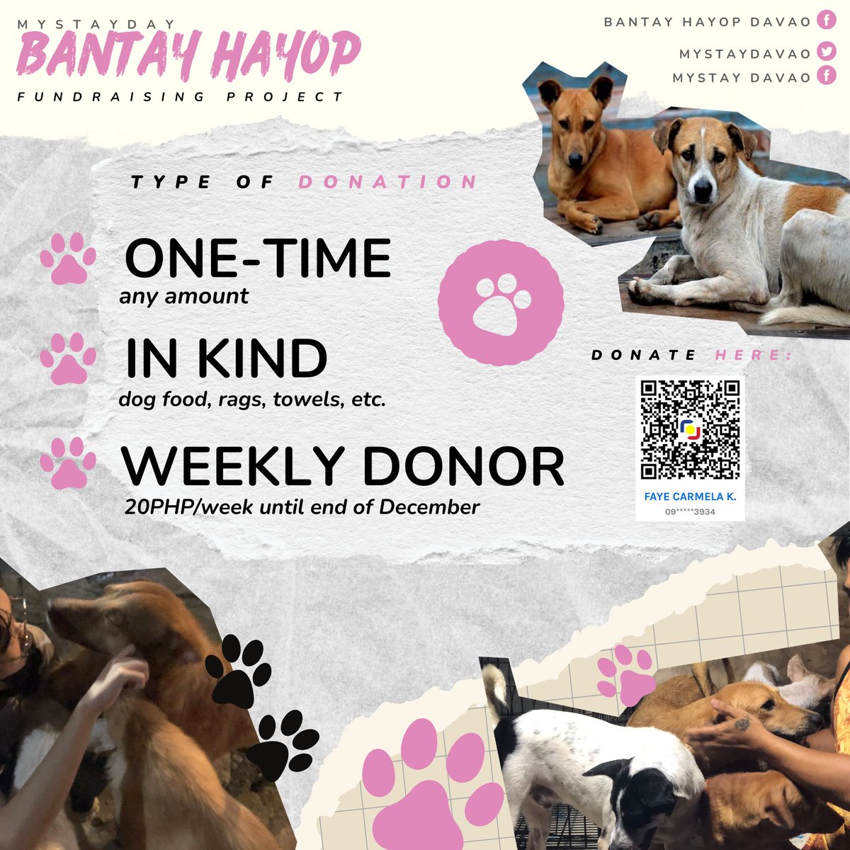 mystaydavao's tweet photo. To all the strays — 

You are invited to take part in our fundraising project, MYSTAY DAY: BANTAY HAYOP. 

Click the form link and the photos below for more details. Do not hesitate to send us a dm for queries or suggestions!

🐾 Nov  5 - Dec 31
🐾 Form: https://t.co/WyL9PIUjpH https://t.co/iQbBS7Fjo1