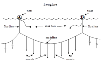 philjacobius's tweet photo. It’s illegal to use shark lines (which dangle closer to the surface) and wire leaders (which sharks can’t bite through) simultaneously in the western Pacific, DOF’s primary hunting ground.

DOF was using them simultaneously. A lot. https://t.co/WA8b0feHHg