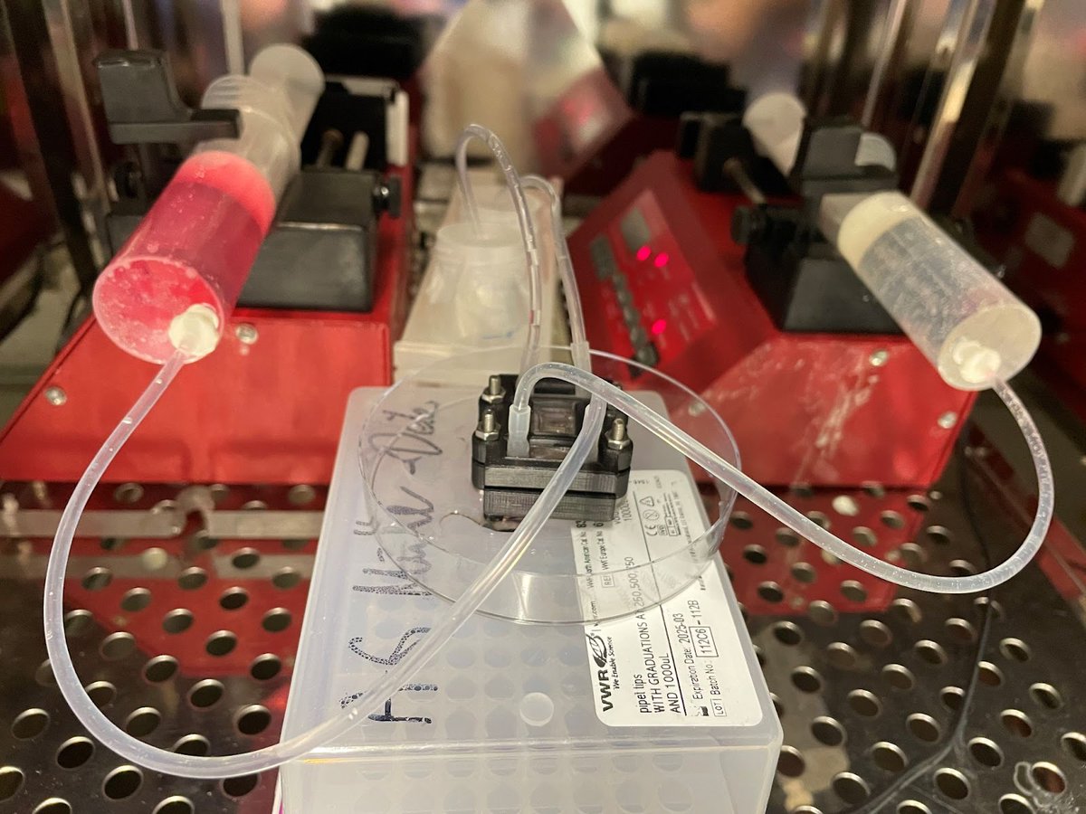 Biofabwue's tweet photo. What happens after a construct is fabricated? It needs testing! Here is an example of a #bioreactor from @CamillaMussoni to simulate physiological conditions in testing her #biofabricated #membranes. An #SLAprinter can be used to fabricate devices with a resolution of up to 25 µm https://t.co/EHTOYkk0JW