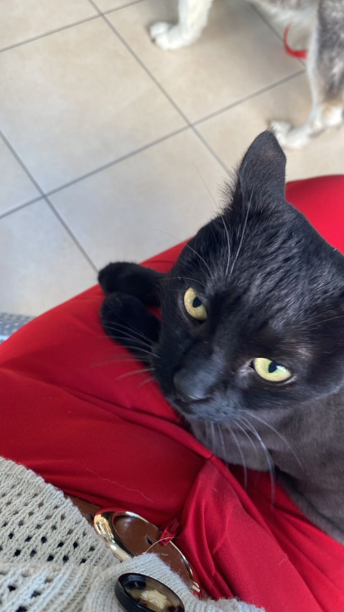 en yakin arkadasim ve ben <a href="/tugcemenguc/">tuğçe mengüç</a>