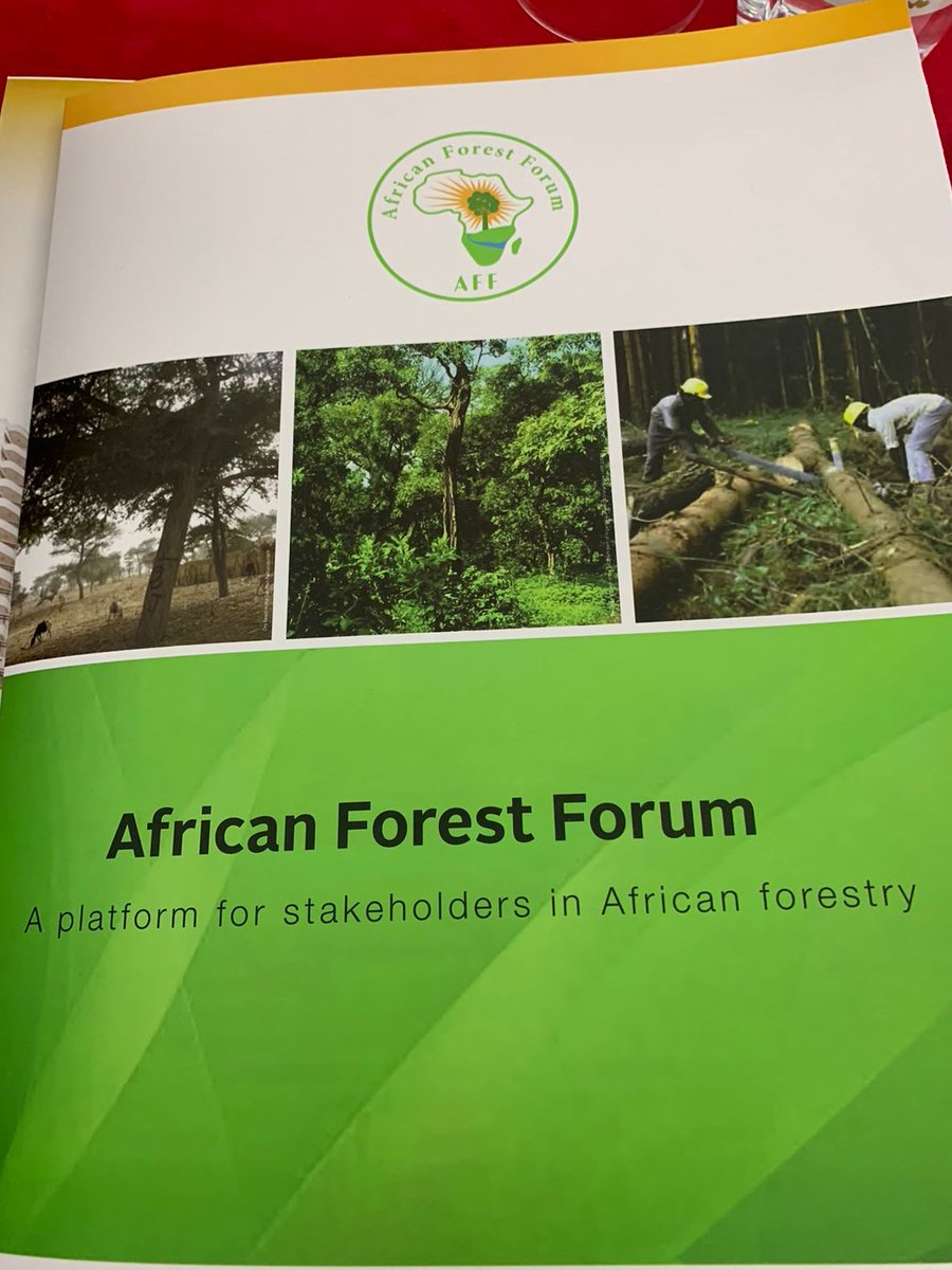 limomonane's tweet photo. We are out in Nairobi, Kenya this week meeting with other African stakeholders in forestry to discuss forest and tree-based climate change adaptation. 
#AfricanForests
#ClimateAction 
#Adaptation https://t.co/SRiAZNLNum