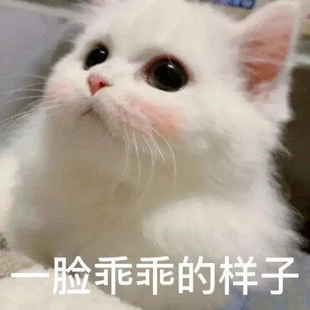 我好怕，不知道怎么回复私信，口嗨太多了 https://t.co/XvhuZBk2wN