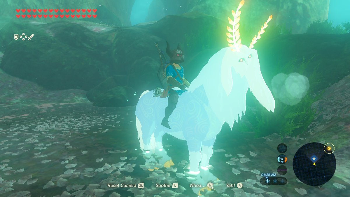 williew75542878's tweet photo. #BreathoftheWild #NintendoSwitch https://t.co/Kcd8b44NpK