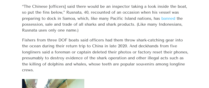 philjacobius's tweet photo. Second point: shark finning

Our interviewees gave incredibly detailed descriptions of the entire process of catching and killing the sharks and removing, drying, packing, weighing and storing the fins. 

They also recounted how their bosses tried to evade law enforcement. https://t.co/4LoiuPfRf6