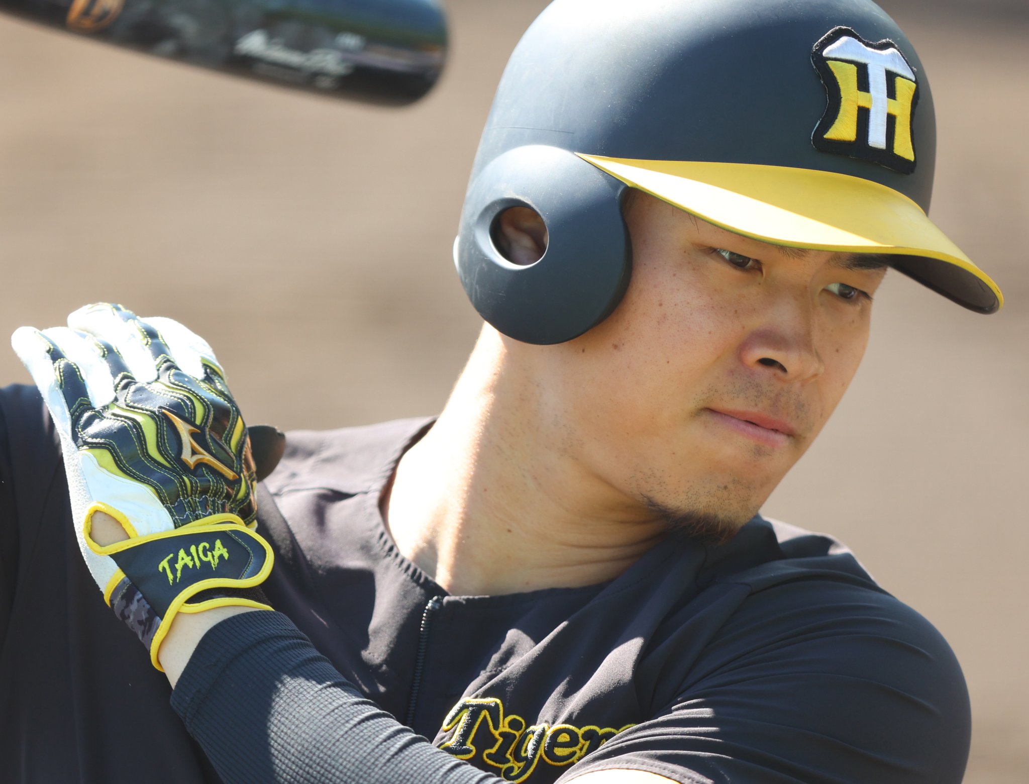 佐藤輝明 バッティンググローブ