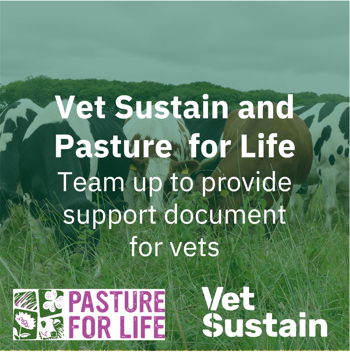 Vet Sustain tweet media