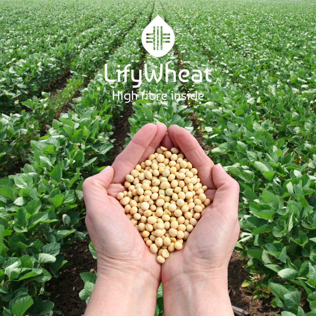 LimagrainIngredients (@limagrainci) on Twitter photo Did you know❓❓
Products rich in fibre are not necessarily brown... This is the case of white beans which contain 1️⃣6️⃣,8️⃣g per 100g!
#EatFibreFeelBetter Did you know❓❓
Products rich in fibre are not necessarily brown... This is the case of white beans which contain 1️⃣6️⃣,8️⃣g per 100g!
#EatFibreFeelBetter