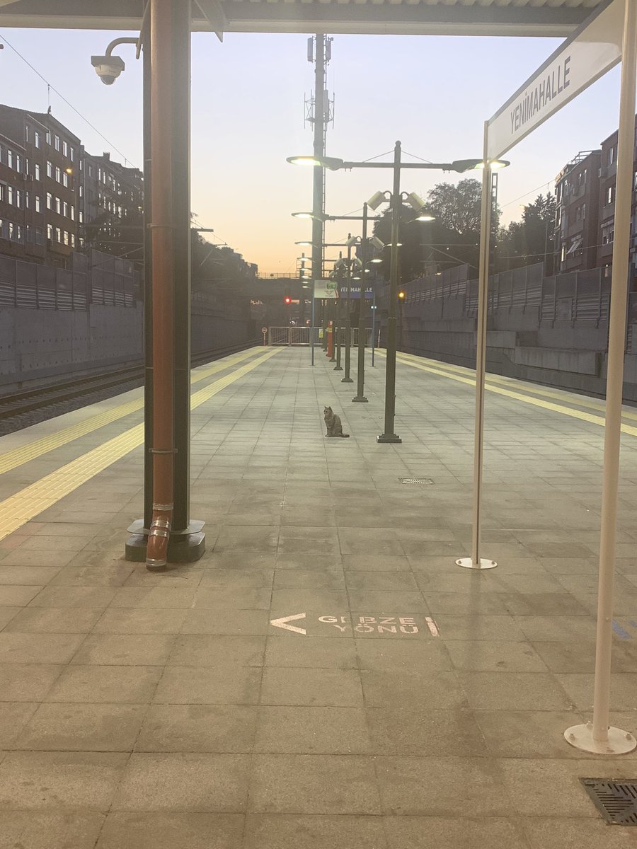 Trende çantamı unutunca saatlerce arayıp Yenimahalle’de kuzenimle buluşup Mustafa Kemal’de teslim alıp 23 durak geri döndüğümde sıcacık trenden buz gibi perona indiğim an. Temsili değil 😭