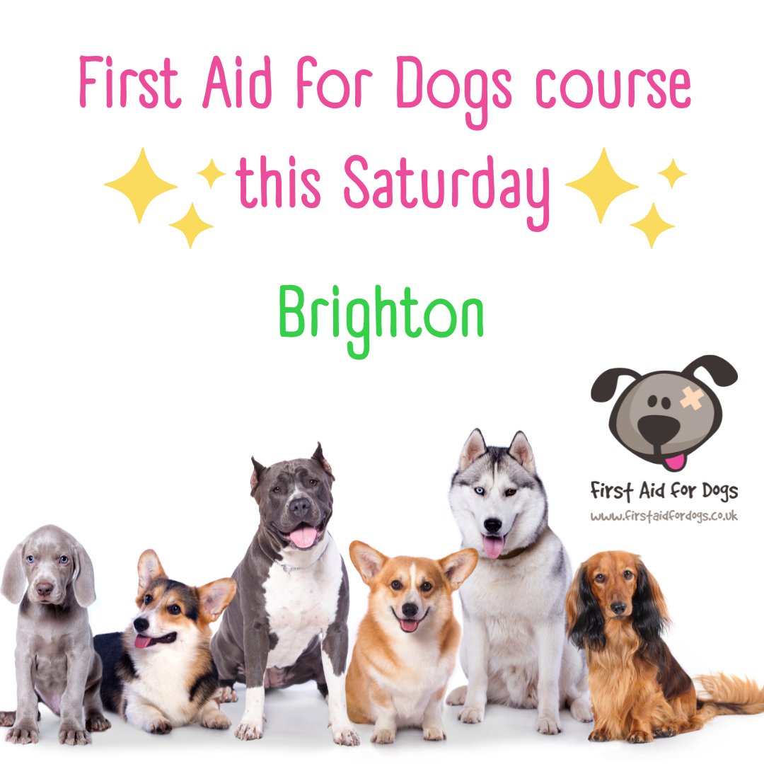 🐶💚FIRST AID FOR DOGS COURSE THIS SATURDAY IN BRIGHTON!🐶💚
😊Join us to learn life saving skills and knowledge. 
🐕💗Essential for any dog owner or professional.
⚡Book now: bookeo.com/firstaidfordog…

#Worthing #Littlehampton #Sussex #Brighton #Hove #DogHealth #HealthyDogs