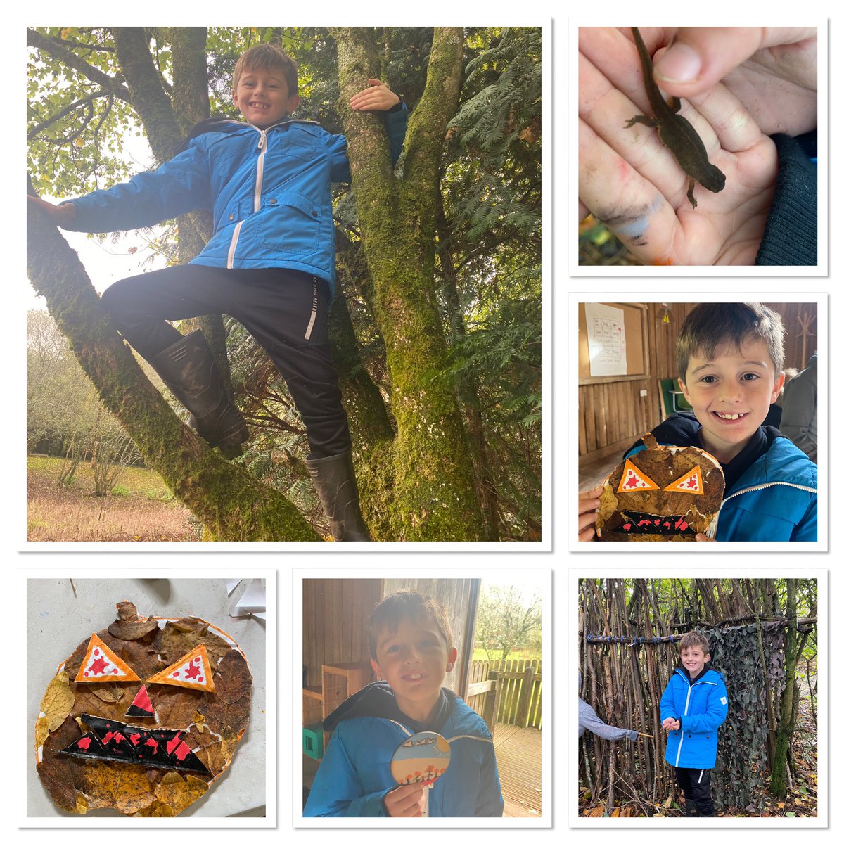 embowen05's tweet photo. Rhys loves Forest School, we had a great morning!  🍁 🍂 @CreativiTreeCIC @alysjenkinsmec1 @SonyUKTEC https://t.co/ZoQiaiE0m8