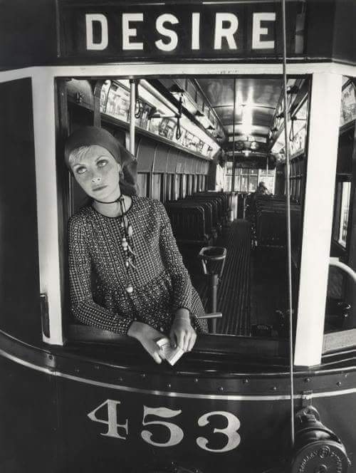 literlandweb1's tweet image. "El deseo muere automáticamente cuando se logra; fenece al satisfacerse. El amor, en cambio, es un eterno deseo insatisfecho".
Ortega y Gasset
📷Norma Parkinson