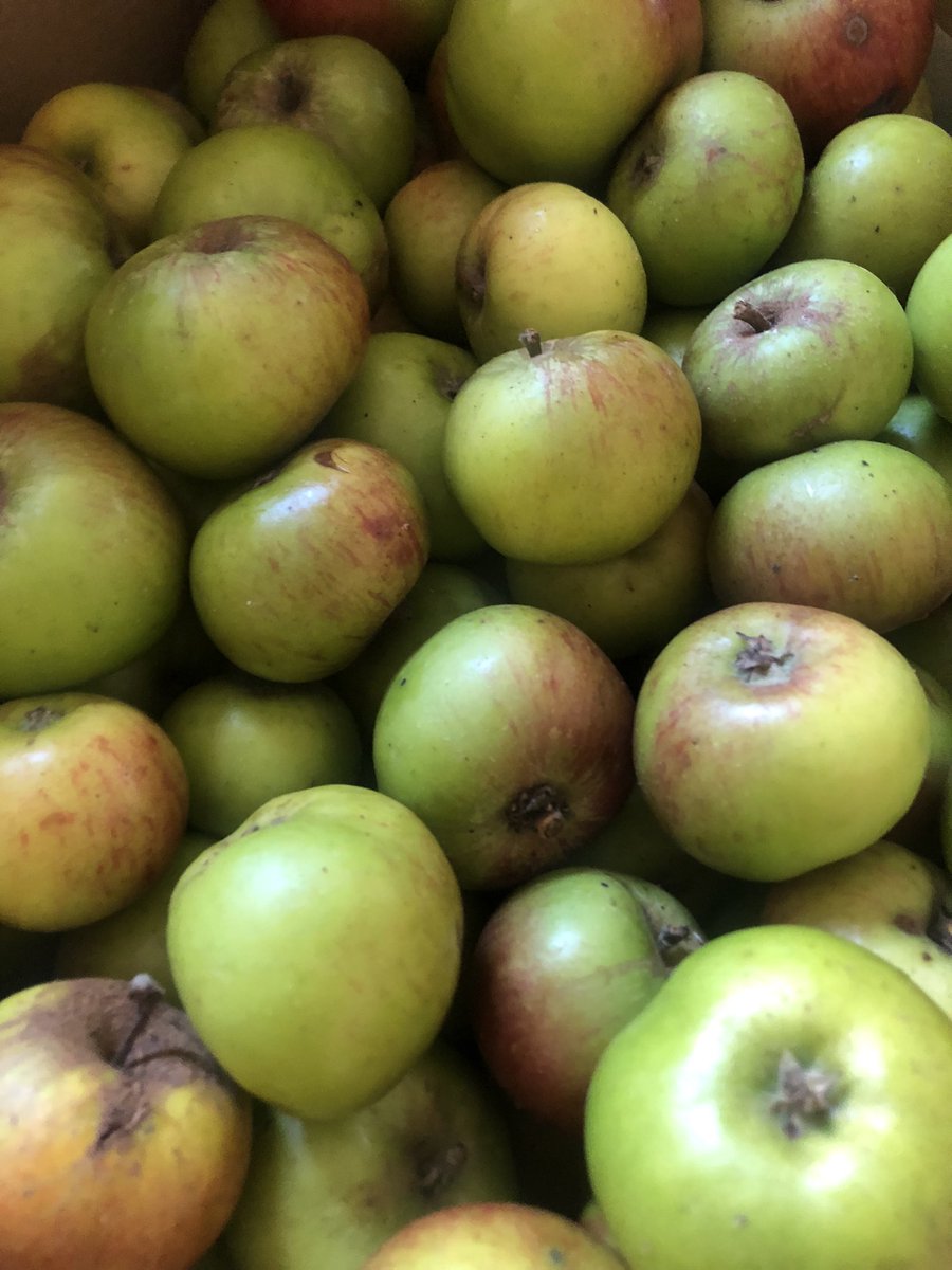 Mint Lane Kitchen & Community Cafe tweet media