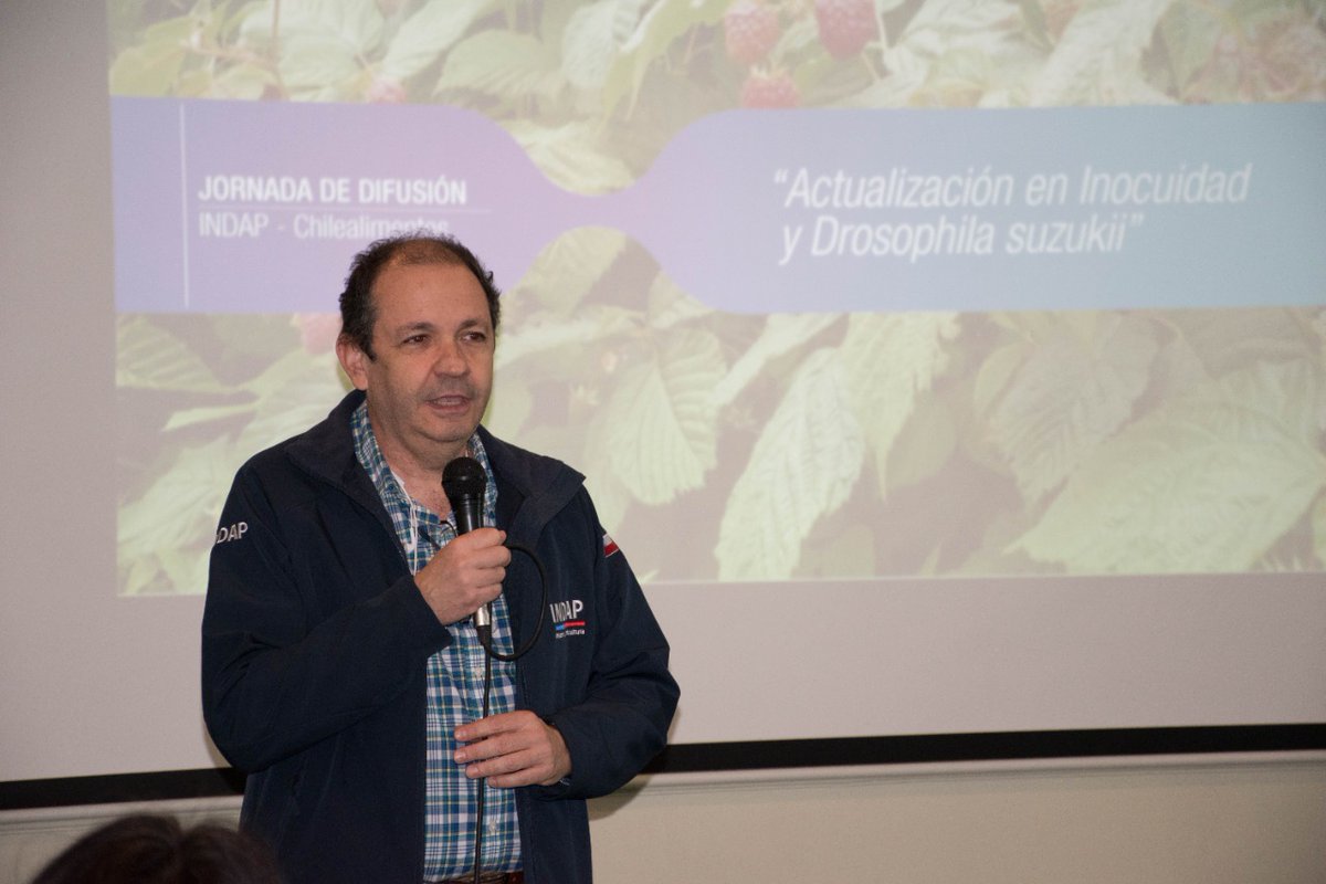 vivepais tweet media