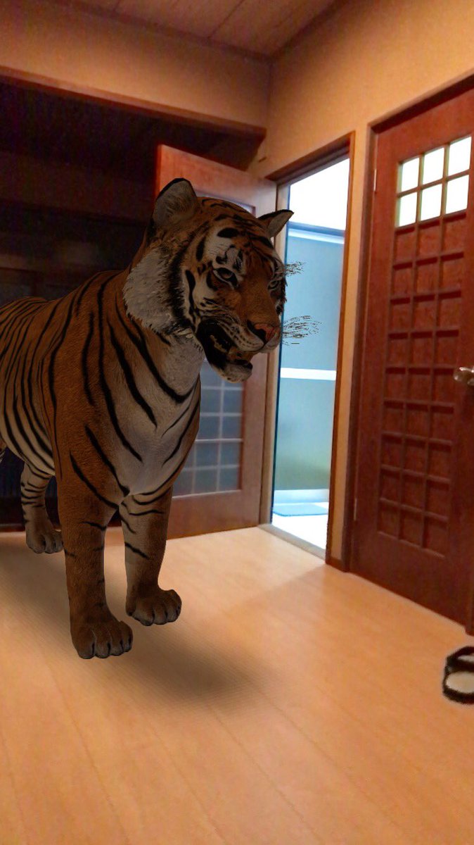 3001non's tweet photo. うちの脱衣所前にベンガルトラ🐅
#Google3D https://t.co/D31iGgBtcq
