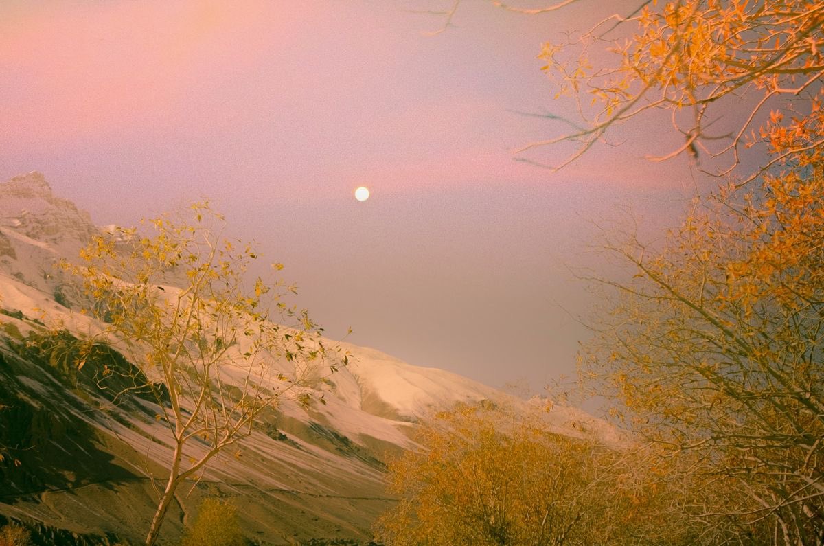 a sense of the perishable