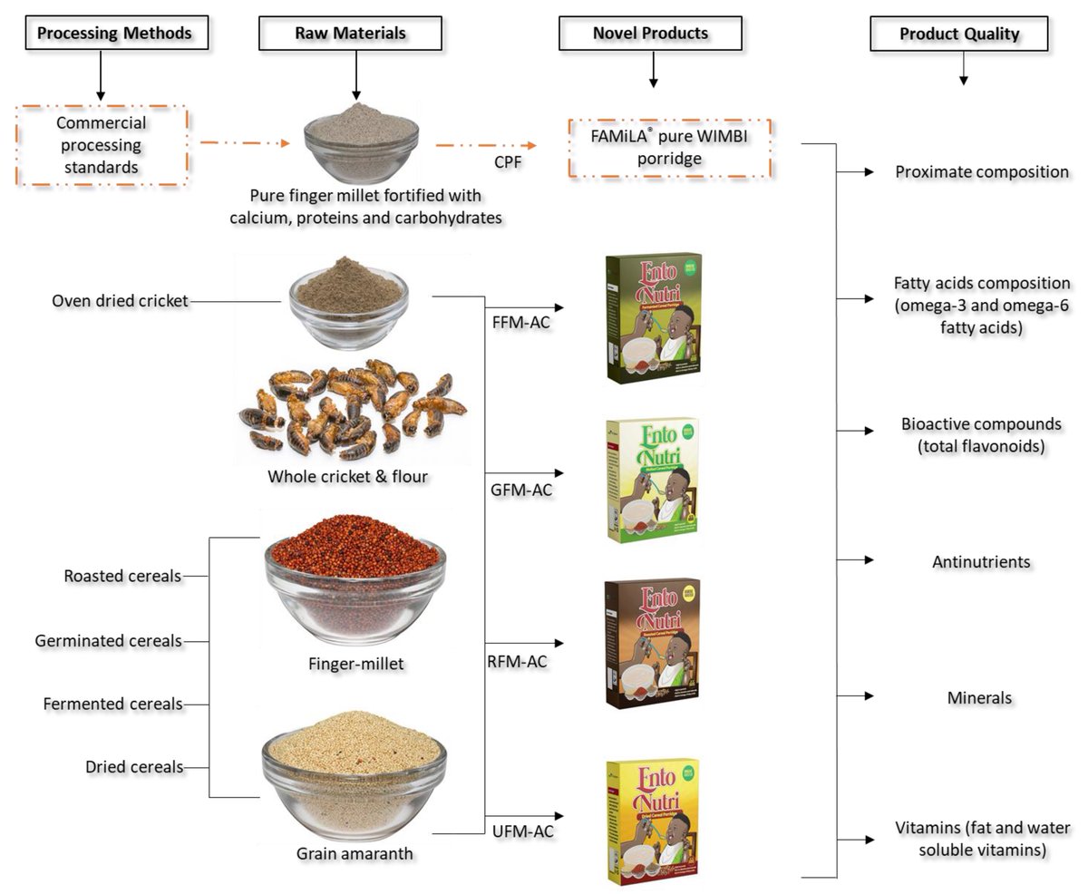 SinoninBiotech's tweet photo. As countries like Kenya grapple with the ravages of #DroughtKE and the accompanying famine and starvation in Northern Kenya (Turkana) and Kajiado, sustainable protein-fortified foods like porridge with #CricketProteins are highly recommended. Let us deal with #HroteinHunger https://t.co/QyzqzBMMOF
