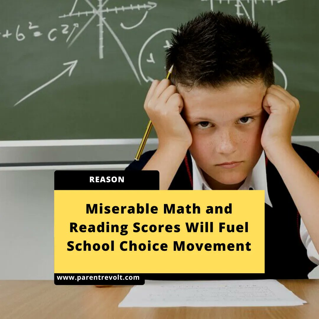 📢 𝗠𝗶𝘀𝗲𝗿𝗮𝗯𝗹𝗲 𝗠𝗮𝘁𝗵 𝗮𝗻𝗱 𝗥𝗲𝗮𝗱𝗶𝗻𝗴 𝗦𝗰𝗼𝗿𝗲𝘀 𝗪𝗶𝗹𝗹 𝗙𝘂𝗲𝗹 𝗦𝗰𝗵𝗼𝗼𝗹 𝗖𝗵𝗼𝗶𝗰𝗲 𝗠𝗼𝘃𝗲𝗺𝗲𝗻𝘁

Read more on: buff.ly/3FBWfMB 

#parentrevolt #education #parents #students #school #california