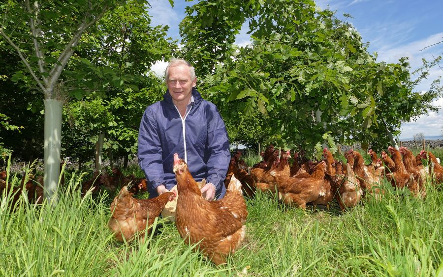 lakesfreerange's tweet photo. New housing order comes into place on Monday 7th November. It is needed to help reduce the risk of Avian Flu spreading further. Read more: https://t.co/Jiwvvfp04E #avianflu #freerangehens https://t.co/hFw5cXJ56E