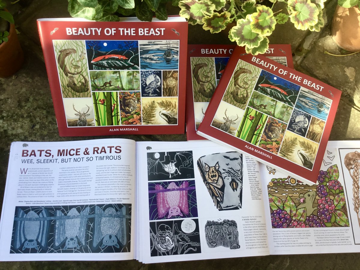 Two of my etchings of bats feature in this wonderful new book written by Alan Marshall, published by <a href="/MascotMediaLtd/">Mascot Media Ltd</a>, book launch Sat 5th Dec, followed by an exhibition @birdscapesGallery Glandford, Norfolk #alanmarshall #bats #sanchialewis #wildlife #britishmammals