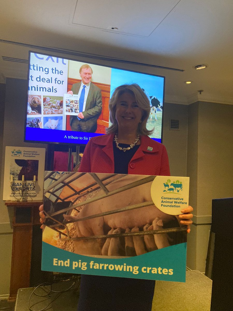 We are calling for an end to farrowing crates in the UK - most severe degree of confinement of farmed animals of any system in the UK and EU. Thank you to our Patron @Anna_Firth who is a brilliant champion for ending farrowing crates! Read our report here: bit.ly/3F0PzHy