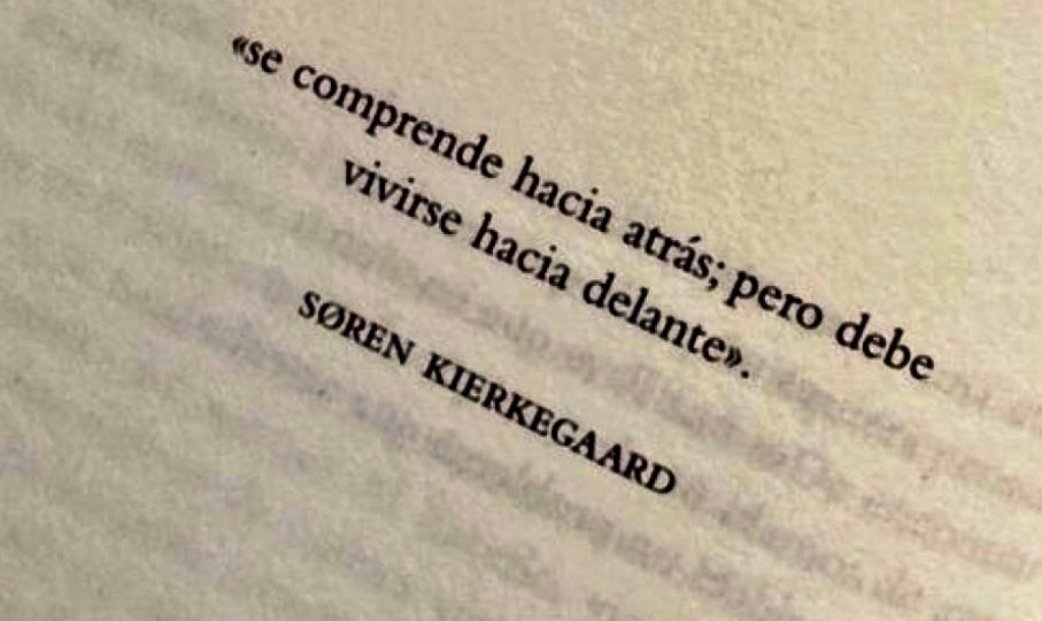 literlandweb1's tweet image. 