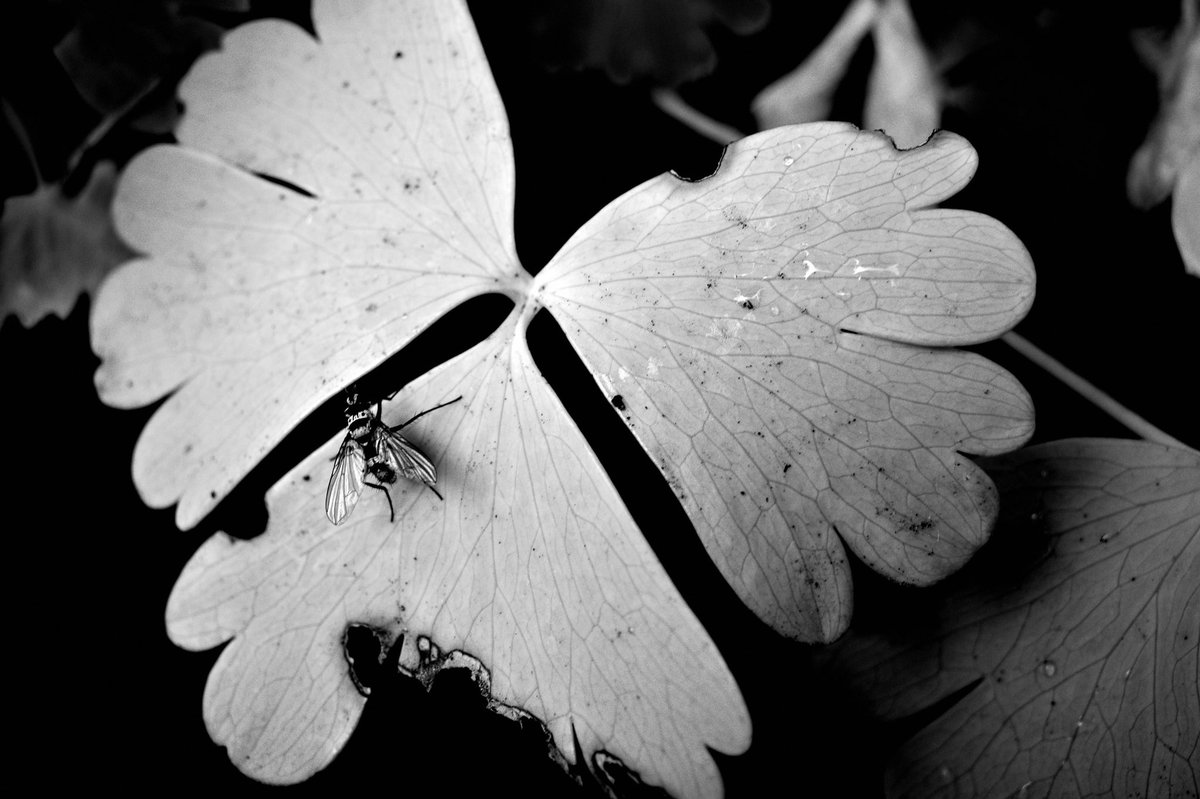 アラヤユウキ (@aryyk_jp) on Twitter photo 