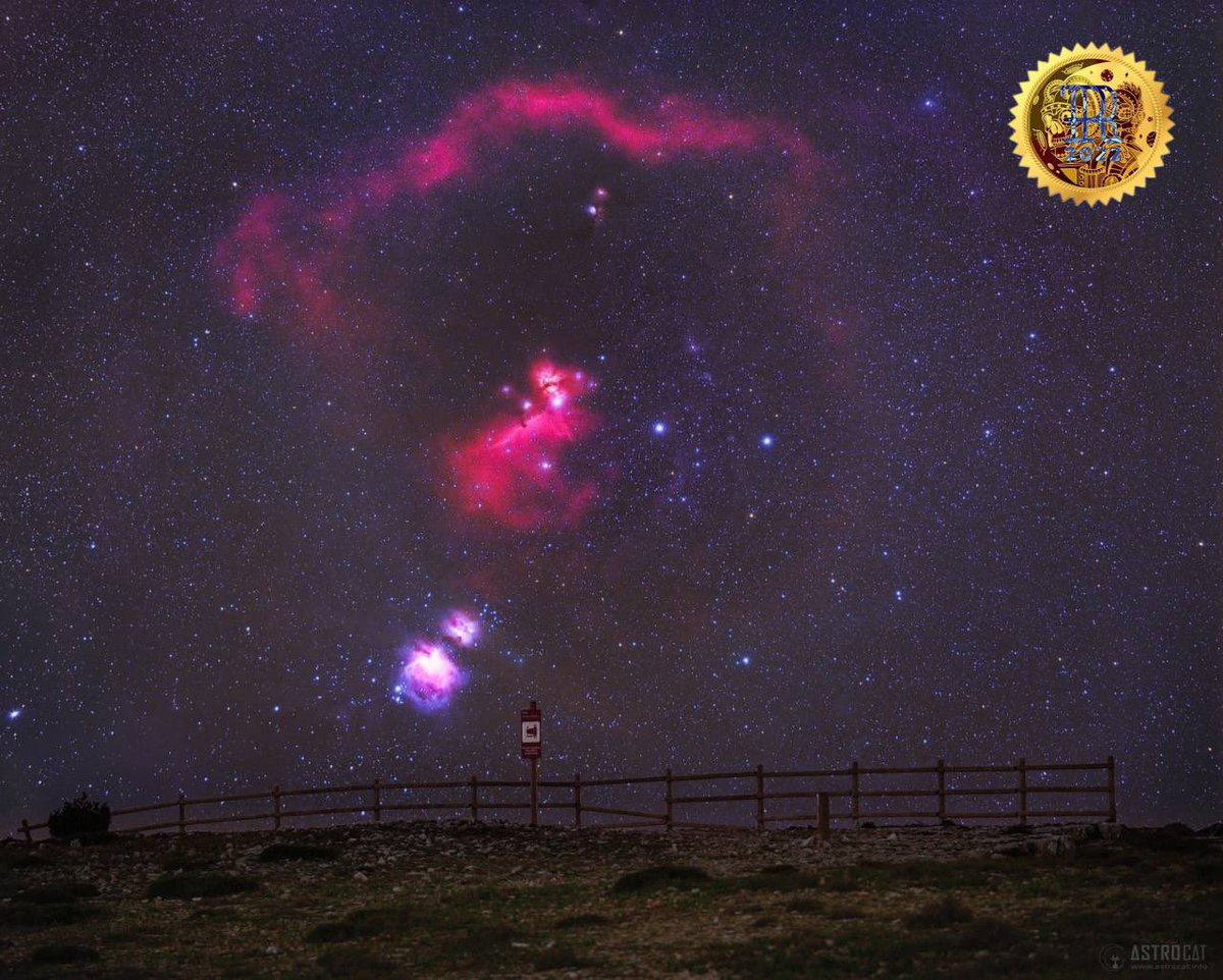 🎙RobotokenRadio©  🤖 tweet media