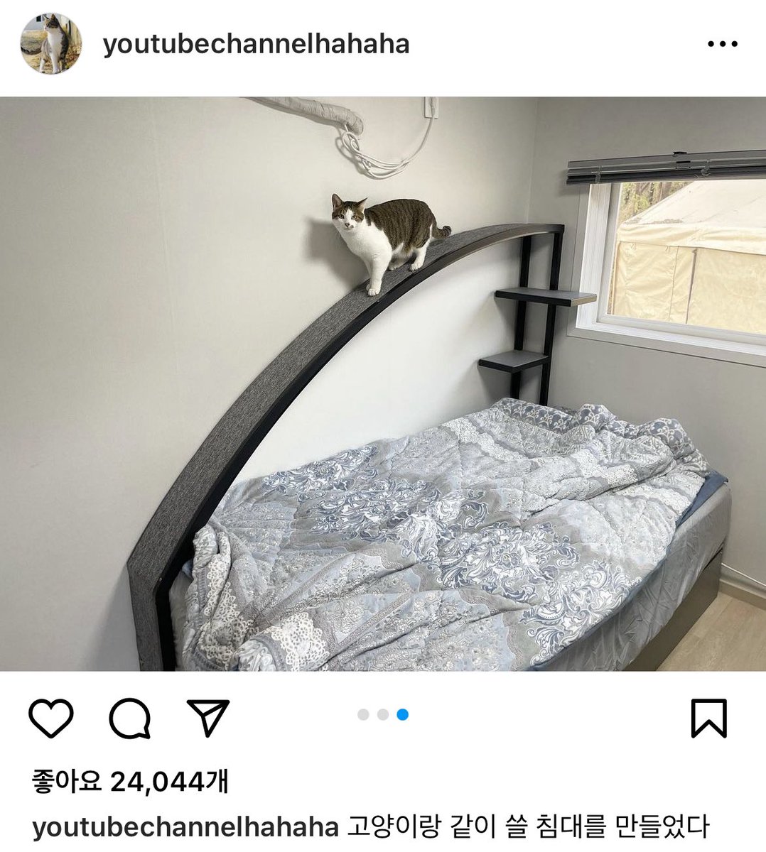 SuzieP79's tweet photo. 하버지가 만든 캣타워....딱 봐도 숨참고 명치 DIVE🌝 https://t.co/NUNakf34qr