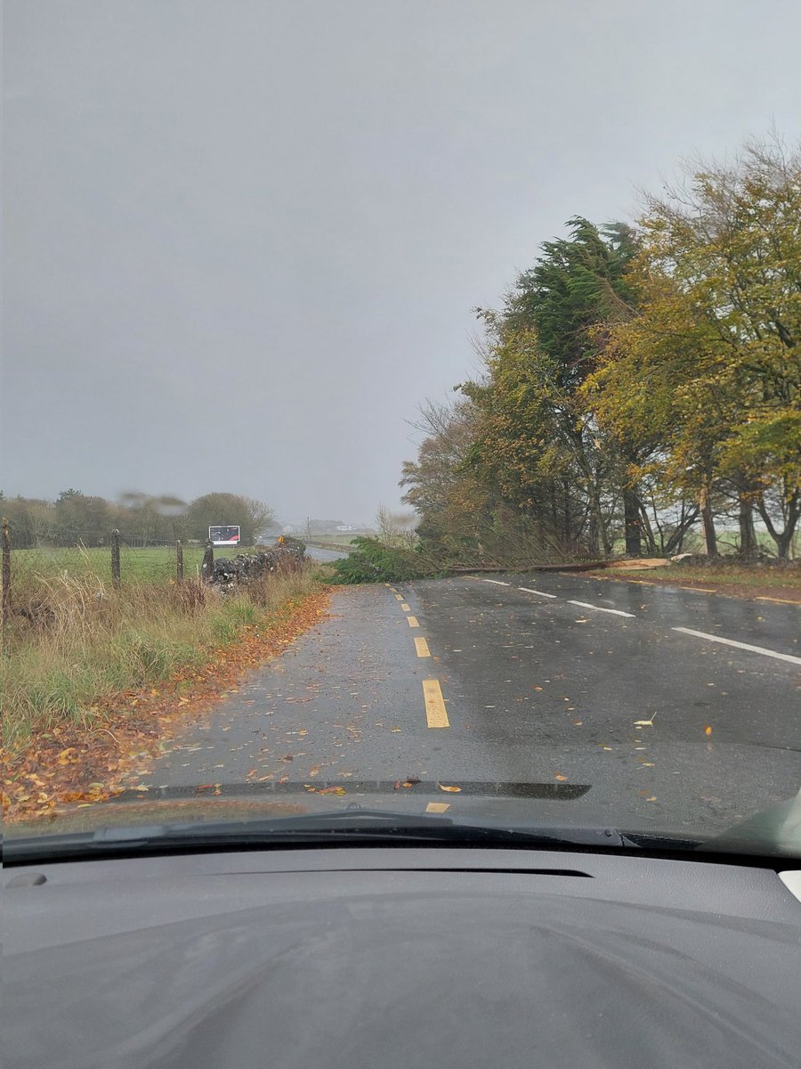 Tree fallen on the coast road towards oranmore just as you approach train station <a href="/GalwayCoCo/">Galway County Council</a>