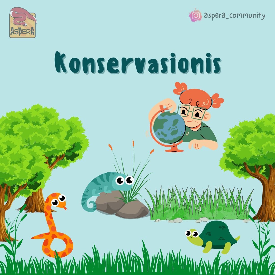 Melakukan hal kecil untuk lingkungan sekitar kita dan menjaga semua tetap lestari bisa jadi awal untuk menjadi konservasionis. 

#WeCareAboutReptile⁣
#AsperaCommunity
#ReptileEducation⁣
#Herpetofauna
#Herpetologi
#Kehati
#Ekosistem
#Konservasi