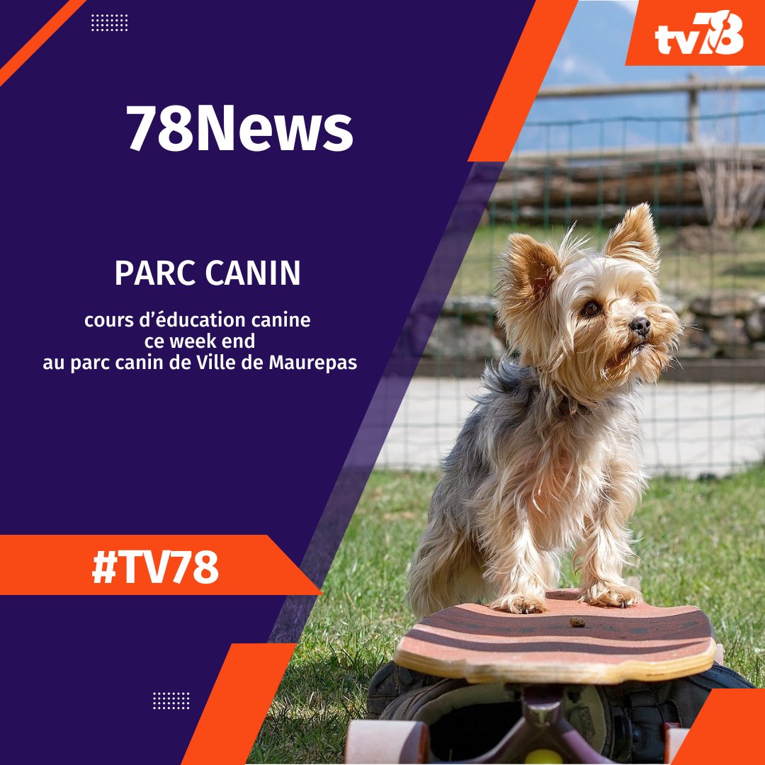 TV78_Yvelines's tweet photo. #78news 🐕
🐕🦺Suite à l'ouverture du🥇premier parc canin officiel de @sqy
🌱La @VilleMaurepas met cet espace à la disposition de 2⃣ éducatrices pour des cours
🗓️samedi à 14h et dimanche à 10h30
📍#parccanin de Ville de Maurepas, avenue de Normandie.
#chien #conditionanimal https://t.co/9zKjbjc863