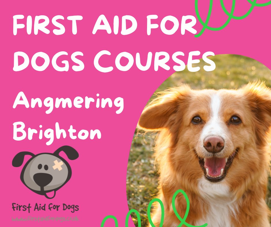 🐕We've two more First Aid for Dogs courses coming up this year:

💚Saturday 12th November - Angmering
💚Saturday 10th December - Brighton and Hove

🐩Learn skills that are potentially life-saving. What better way to spend your Saturday morning?😊

🌈Book: bookeo.com/firstaidfordog…