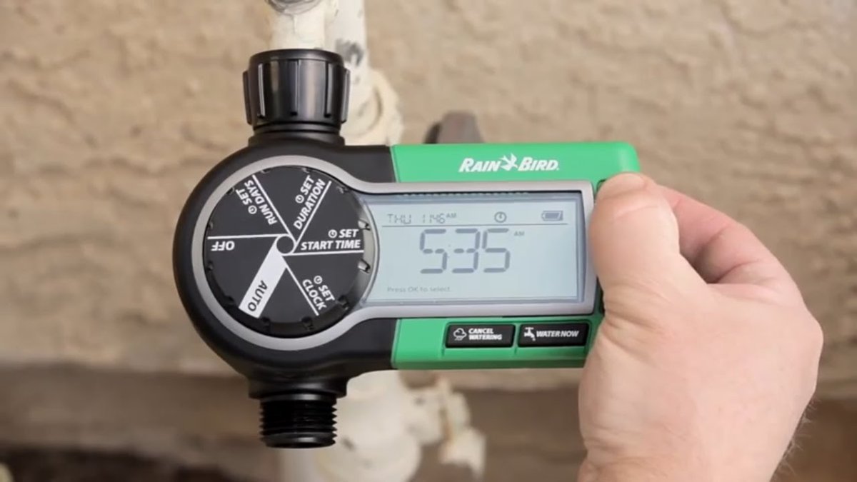 AllForGardening's tweet image. 7 Coolest Gardening Gadgets 2020 You ...
 
#BackpackLeafBlower #BatteryLeafBlower #BatteryPoweredLeafBlower
 
allforgardening.com/283046/7-coole…