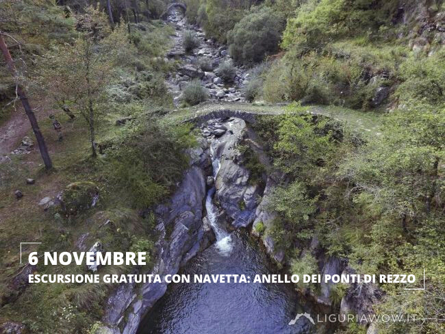ParcoAlpiLiguri's tweet photo. Il Parco delle Alpi Liguri organizza per domenica 6 novembre unโ#escursione guidata ๐ฅพ ai margini del Bosco di #Rezzo, toccando gran parte dei ponti storici accompagnati dal fluire della #Giara, il maggiore affluente dell'Arroscia.
๐ Per saperne di piรน: https://t.co/0tv50pCiy9 https://t.co/pAk32gMVnC